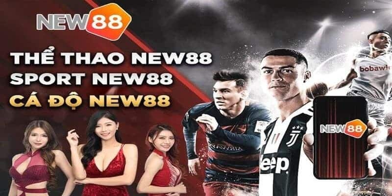 Giới thiệu cá độ thể thao trực tuyến tại New88