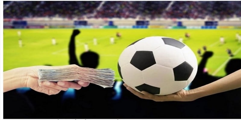 bi kip cuoc thang ap dao la gi