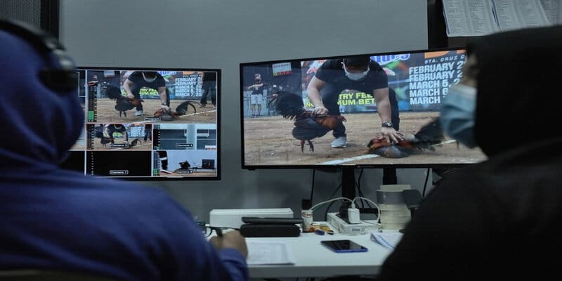 da ga truc tiep c4 cac uu diem