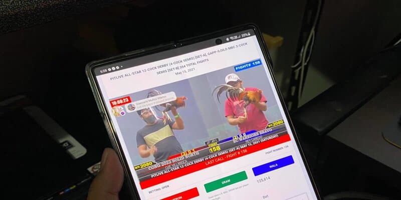 da ga truc tiep c4 dinh nghia