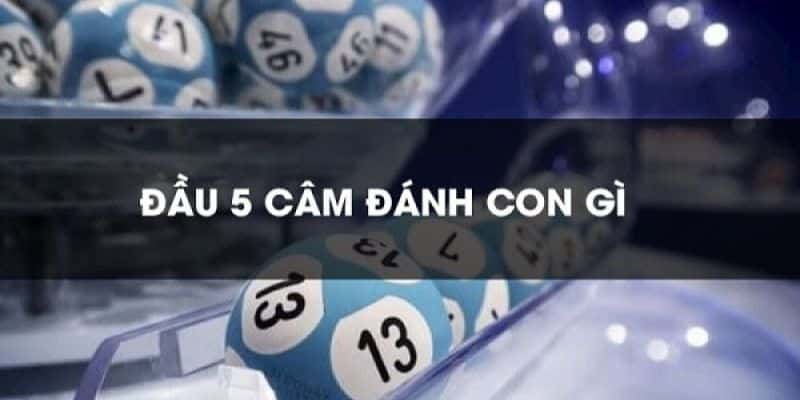 dau 5 cam danh con gi va mot vai luu y