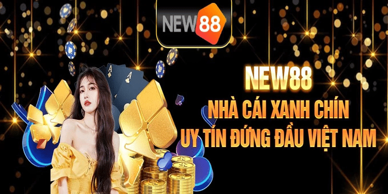 Điều kiện điều khoản của New88 cam kết bảo mật thông tin cá nhân của người dùng