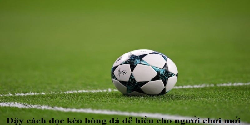 keo chap nua mot la gi kinh nghiem choi hieu qua