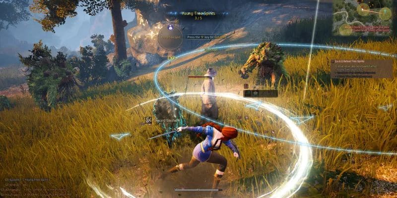 nhan vat trong black desert online da dang