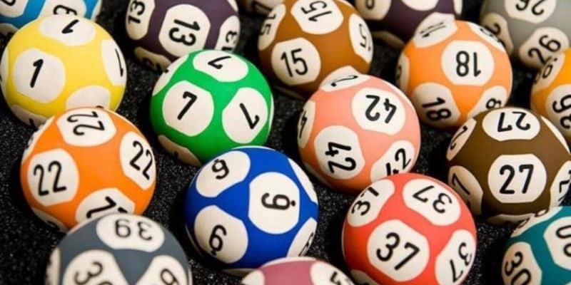 song thu lo nuoi khung 2 ngay la gi