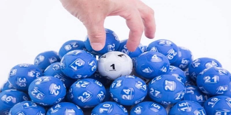 danh lo theo dau cam va luu y