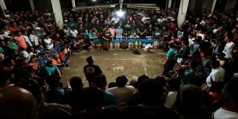 tran da ga 24 ty ket qua bat ngo