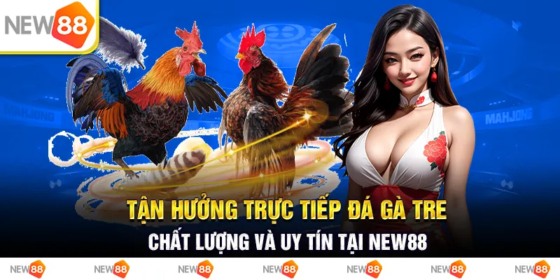 Tận hưởng trực tiếp đá gà tre chất lượng và uy tín tại New88