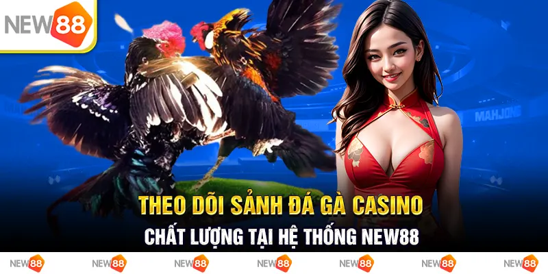 Theo dõi sảnh đá gà casino chất lượng tại hệ thống New88 3 Theo dõi sảnh đá gà casino chất lượng tại hệ thống new88