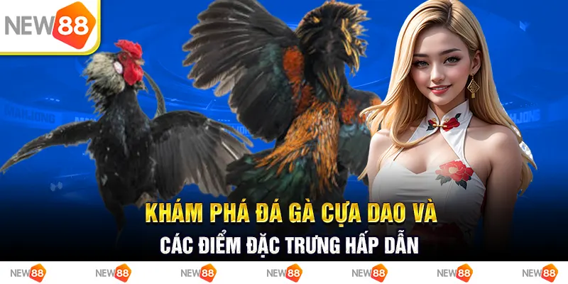 Khám phá đá gà cựa dao và các điểm đặc trưng hấp dẫn 4 Khám phá đá gà cựa dao và các điểm đặc trưng hấp dẫn