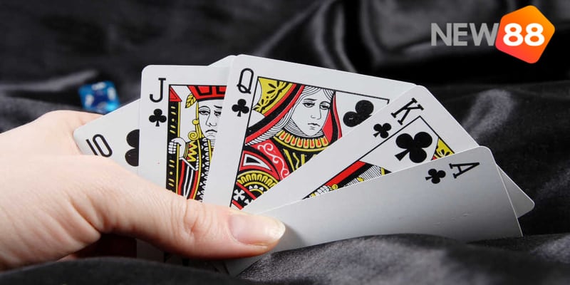 Các loại bài trong bộ bài tiến lên