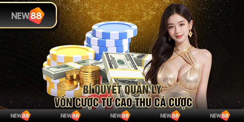 Bí quyết quản lý vốn cược từ cao thủ cá cược