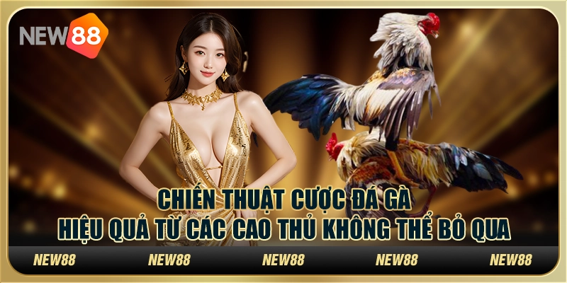 Chiến thuật cược đá gà hiệu quả từ các cao thủ không thể bỏ qua 1 Chiến thuật cược đá gà hiệu quả từ các cao thủ không thể bỏ qua