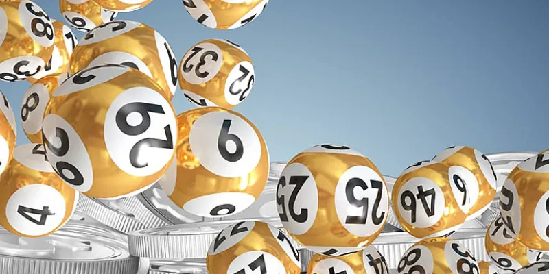 Áp dụng con số từ giấc mơ thấy cá sấu để tham gia lô đề