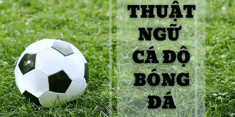 Lợi ích khi hiểu rõ các thuật ngữ cá độ bóng đá