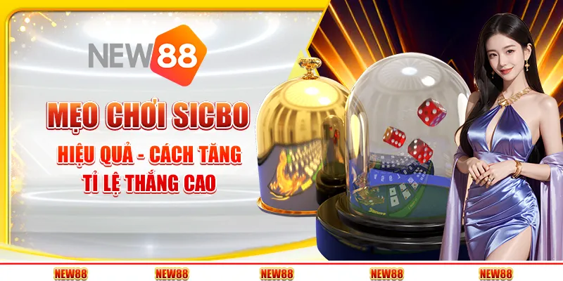 Mẹo chơi sicbo hiệu quả - Cách tăng tỉ lệ thắng cao