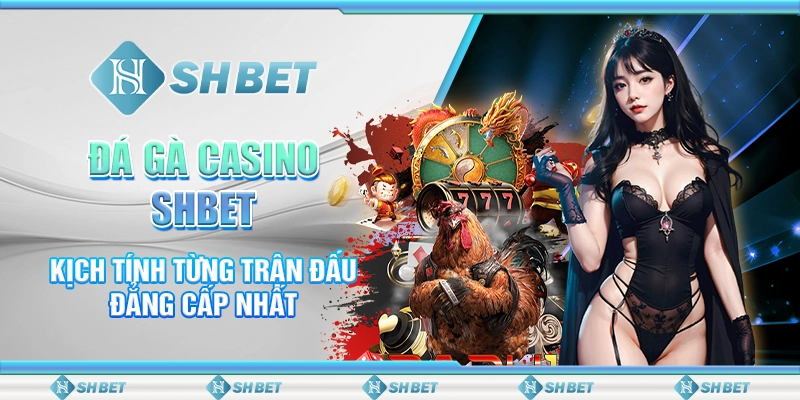 Đá Gà Casino SHBET - Kịch Tính Từng Trận Đấu Đẳng Cấp Nhất