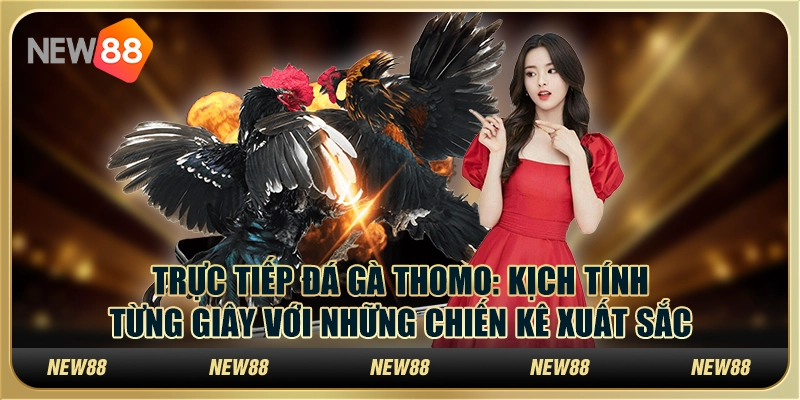 Đá gà cựa sắt Thomo tại New88 - Trải nghiệm kịch tính và hấp dẫn