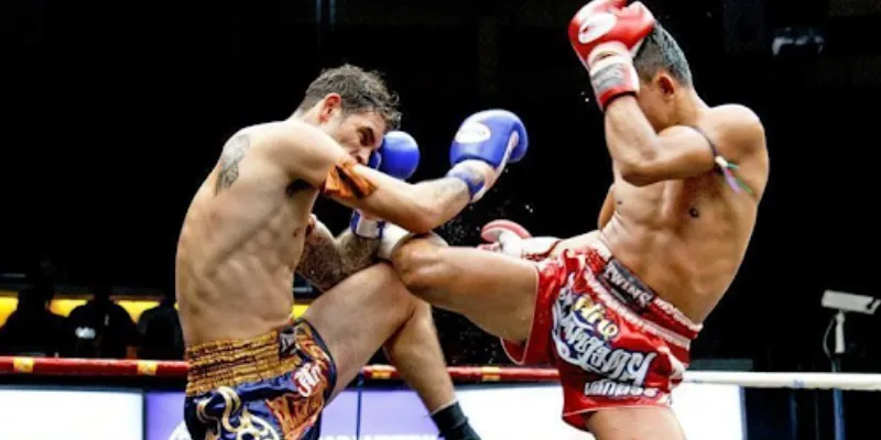 Các loại cá cược quyền anh thông dụng