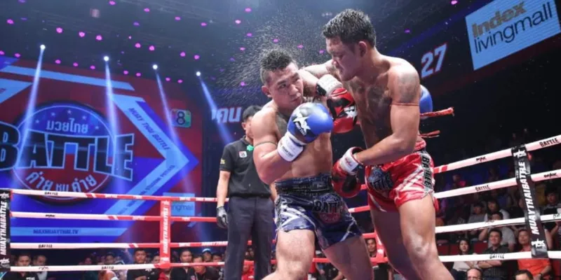 Cách cá cược quyền anh cho người mới bắt đầu tại New88