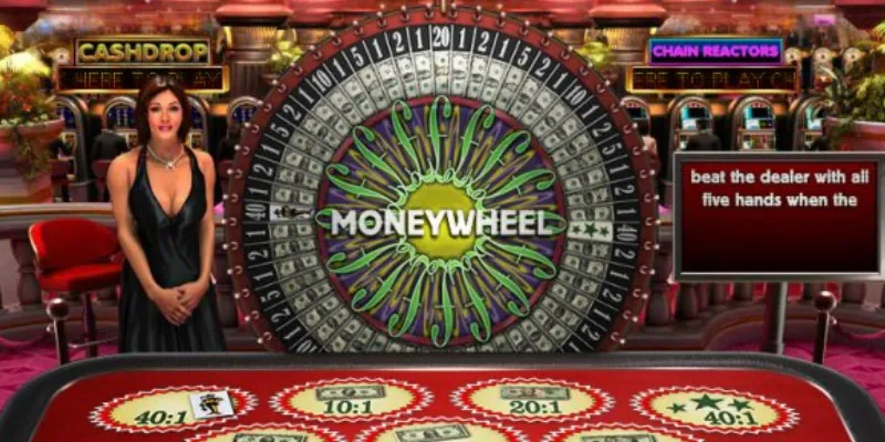 Một số thông tin nổi bật về Money Wheel