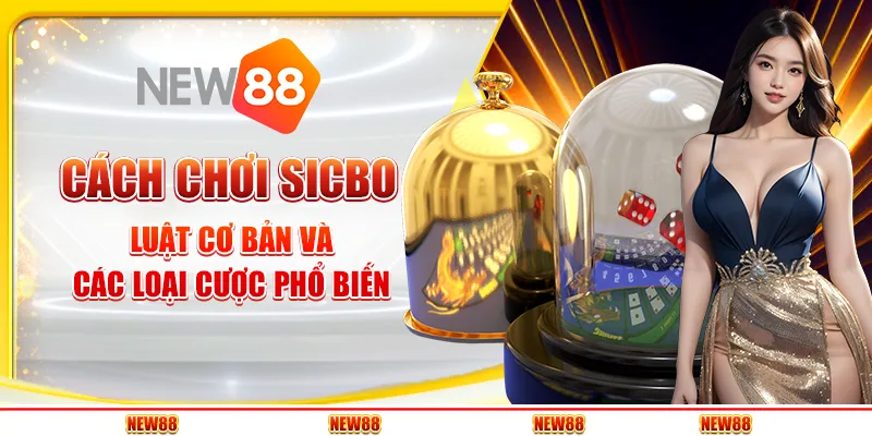 Cách chơi Sicbo - Luật cơ bản và các loại cược phổ biến
