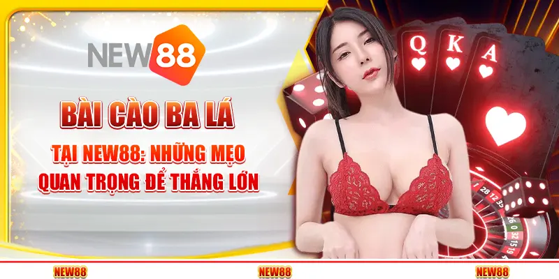 Bài cào ba lá tại New88 - Những mẹo quan trọng để thắng lớn