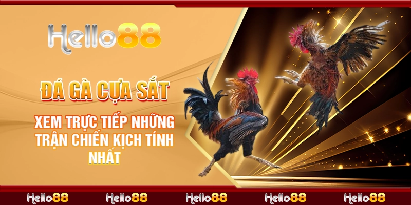 đá gà cựa sắt