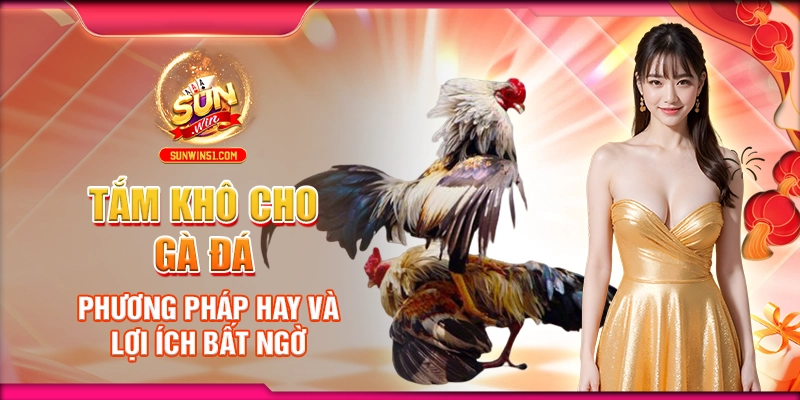 Tắm Khô Cho Gà Đá: Phương Pháp Hay Và Lợi Ích Bất Ngờ