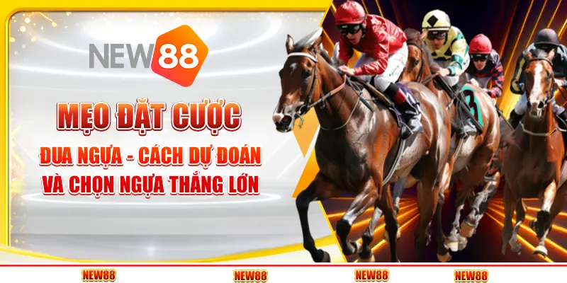 Mẹo đặt cược đua ngựa - Cách dự đoán và chọn ngựa thắng lớn 9 Mẹo đặt cược đua ngựa - Cách dự đoán và chọn ngựa thắng lớn