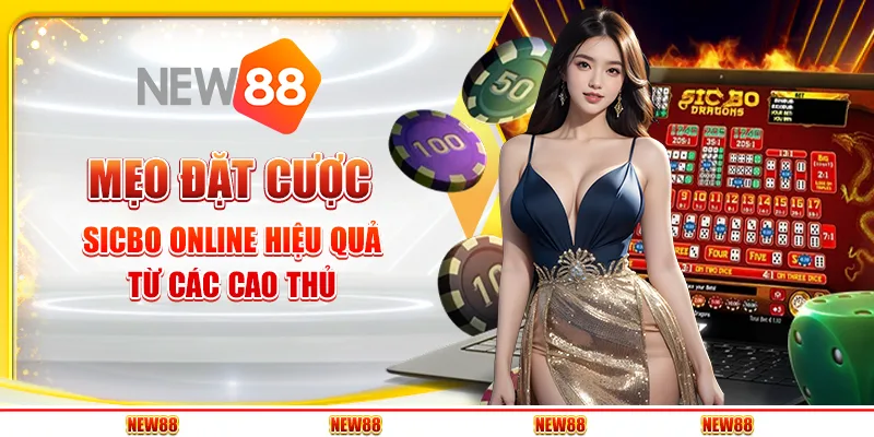 Mẹo chơi sicbo online hiệu quả từ các cao thủ