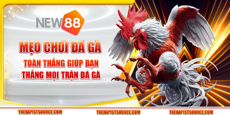 Mẹo chơi đá gà toàn thắng giúp bạn thắng mọi trận đá gà 1 Mẹo chơi đá gà toàn thắng giúp bạn thắng mọi trận đá gà
