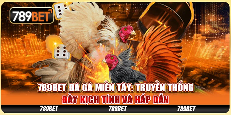 Đá Gà Miền Tây