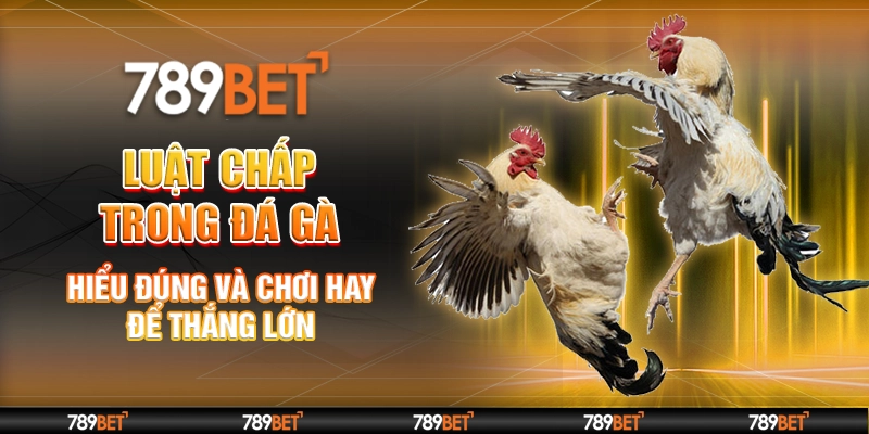 Luật Chấp Trong Đá Gà