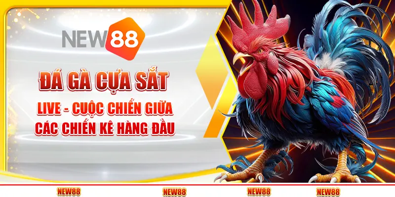 Đá gà cựa sắt live tại New88 - Cuộc chiến giữa các chiến kê hàng đầu