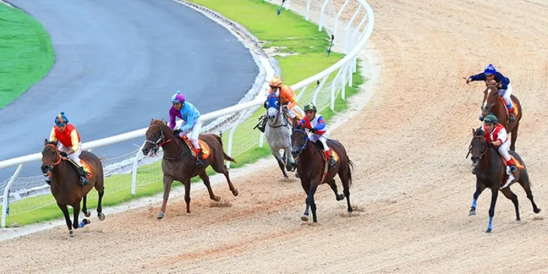 Nghiên cứu các yếu tố ảnh hưởng trực tiếp đến thành tích đua ngựa