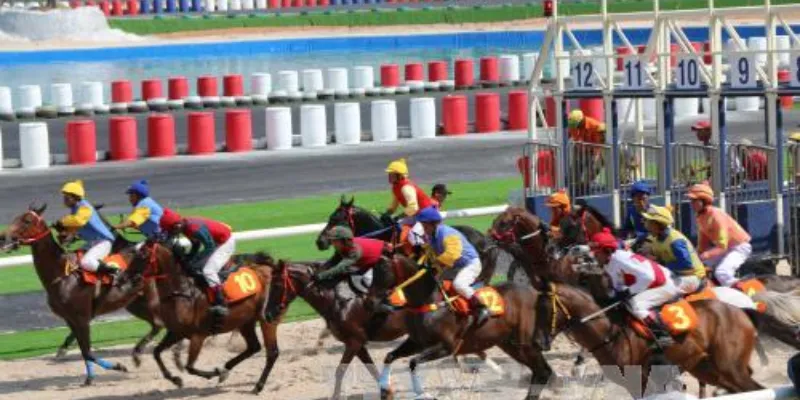 Các mẹo đặt cược đua ngựa dễ thắng anh em nên áp dụng