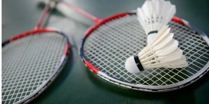 Nắm rõ thông tin chung về cá cược cầu lông