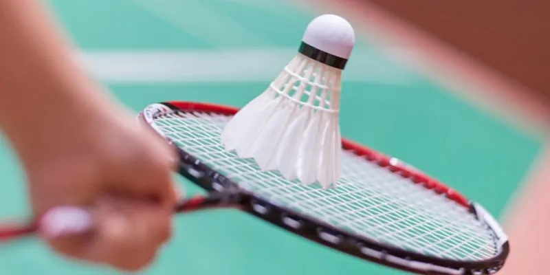 Một số loại cược phổ biến trong cá cược cầu lông