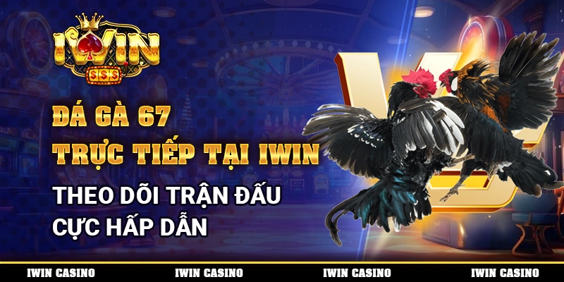 Đá Gà 67 Trực Tiếp Tại IWIN, Theo Dõi Trận Đấu Cực Hấp Dẫn