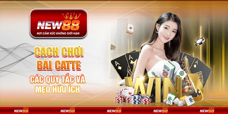 Cách chơi bài Catte - Các quy tắc và mẹo hữu ích