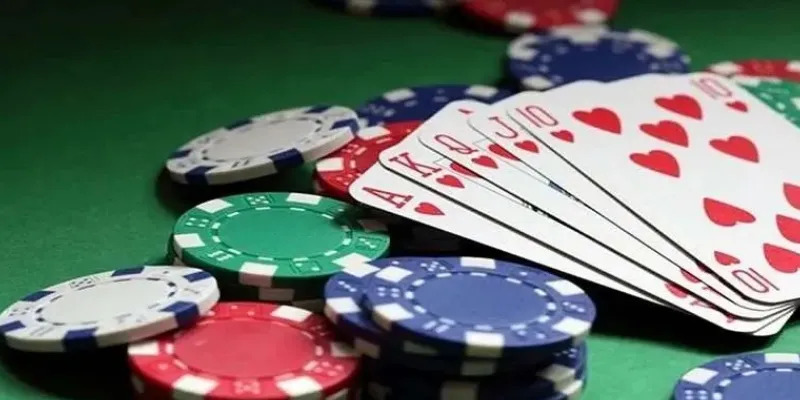 Khám phá luật chơi bài Catte cơ bản