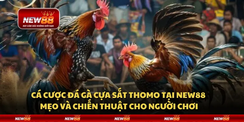 Cách chọn kèo thơm - Bí quyết thắng lớn từ chuyên gia 9 Cách chọn kèo thơm - Bí quyết thắng lớn từ chuyên gia