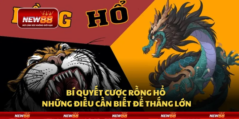 Bí quyết cược Rồng Hổ - Những điều cần biết để thắng lớn 8 Bí quyết cược Rồng Hổ - Những điều cần biết để thắng lớn