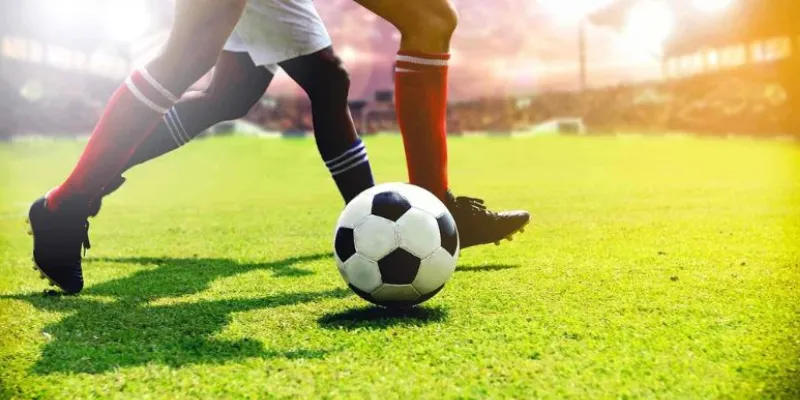 Cách chọn kèo thơm - Bí quyết thắng lớn từ chuyên gia 4 Hướng dẫn chọn kèo thơm hiệu quả để tối đa hóa lợi nhuận