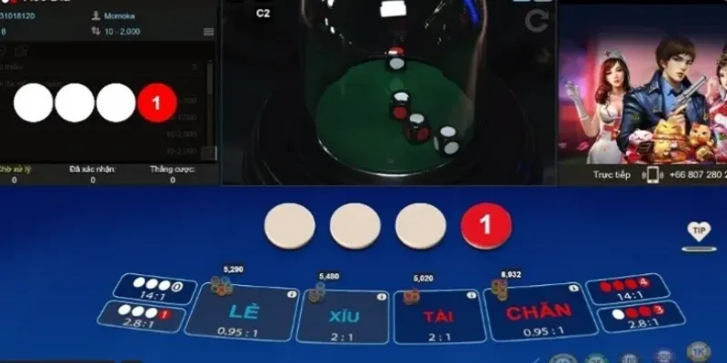 Giải mã thuật toán xóc đĩa – Bí quyết đặt cược hiệu quả 2 Tìm hiểu về thuật toán xóc đĩa