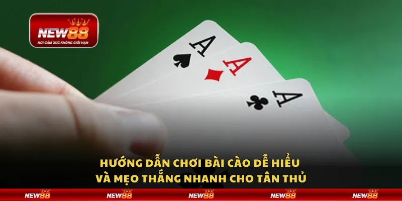 Hướng dẫn chơi bài cào dễ hiểu và mẹo thắng nhanh cho tân thủ 4 Hướng dẫn chơi bài cào dễ hiểu và mẹo thắng nhanh cho tân thủ