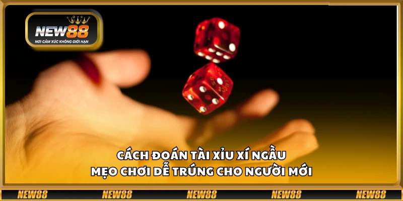 Cách đoán Tài Xỉu Xí Ngầu – Mẹo chơi dễ trúng cho người mới 6 Cách đoán Tài Xỉu Xí Ngầu – Mẹo chơi dễ trúng cho người mới
