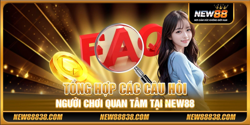 Tổng hợp các câu hỏi người chơi quan tâm tại New88