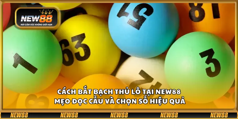 Cách bắt bạch thủ lô tại New88 – Mẹo đọc cầu và chọn số hiệu quả 9 Cách bắt bạch thủ lô tại New88 – Mẹo đọc cầu và chọn số hiệu quả